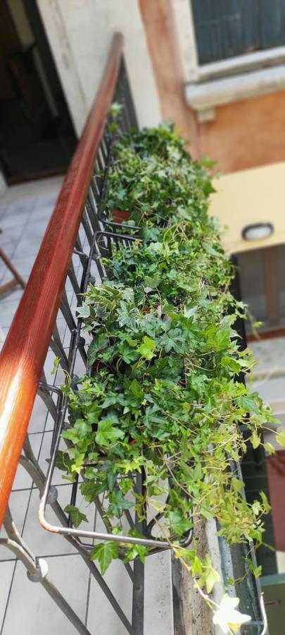 Ca' Baby Appartement